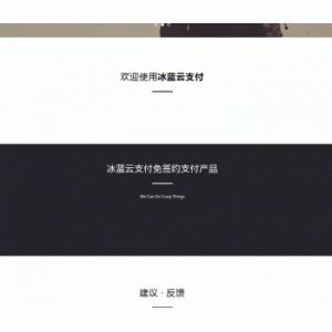 冰蓝云支付系统 可对接官方接口/易支付/码支付